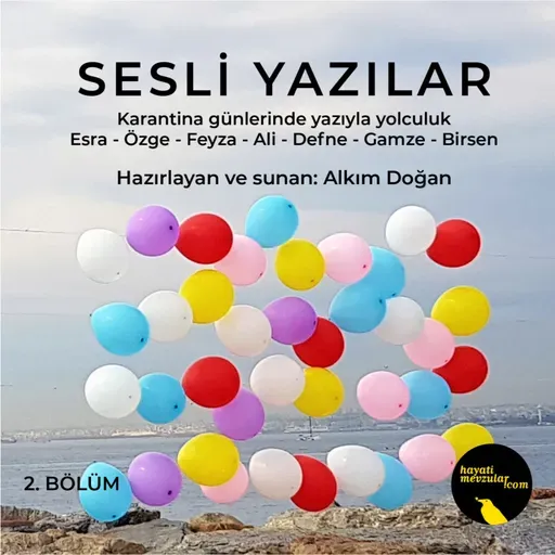 Sesli Yazılar II