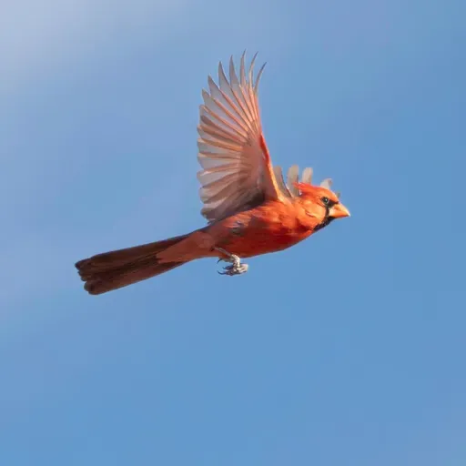 Art and Environmental Activism