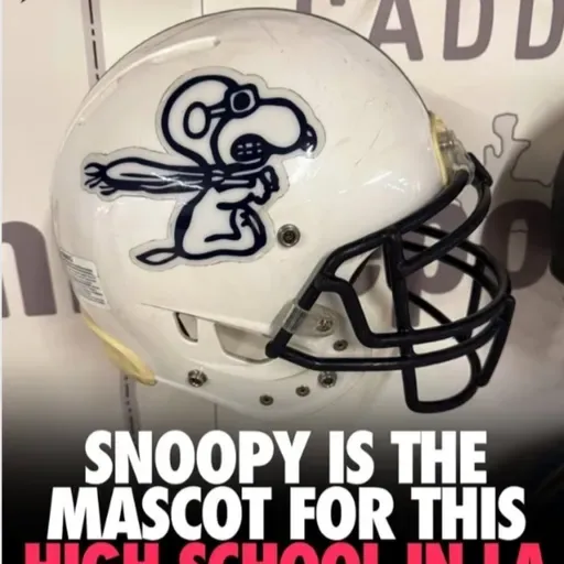 Innovaciones en la NFL, Snoopy como Mascota, Packers y el Número 27