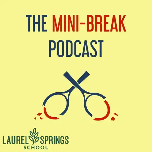 US Open Men's Final Recap + Final US Open thoughts
