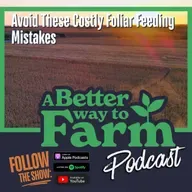 376: Avoid These Costly Foliar Feeding Mistakes