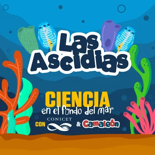 Ascidias: el filtro vivo del mar