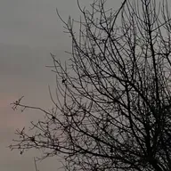 444. Mektûba Guhdar Ro: Li Xwe û Mala Xwe Digerim