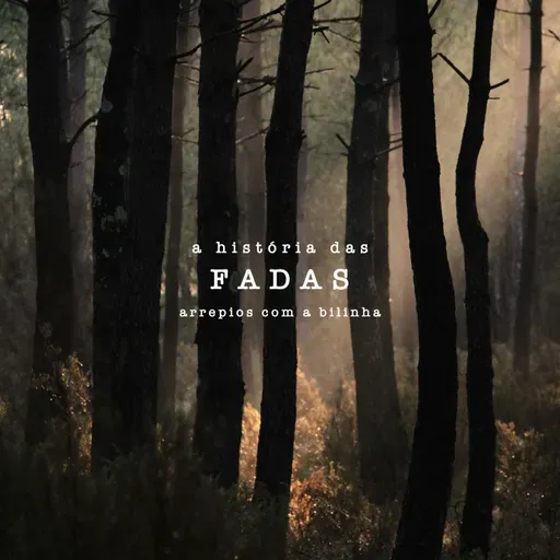 A História das Fadas