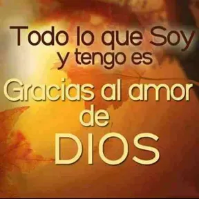 El arca de jesus