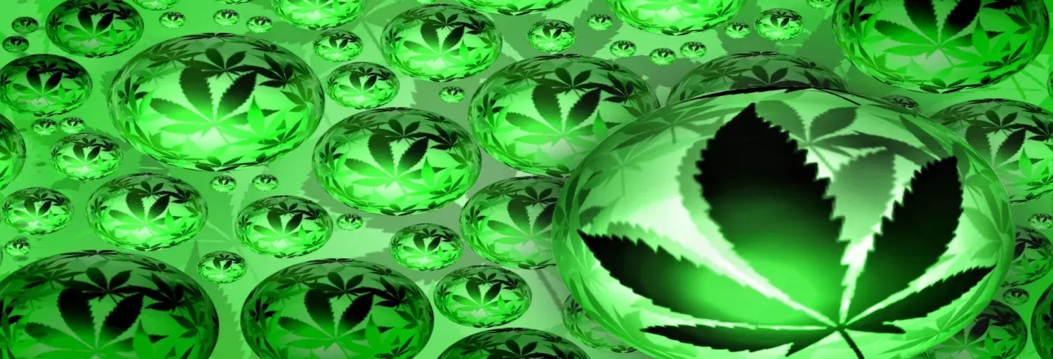 ZIG420