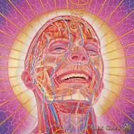 Ep 226- Reclaim your mind - Escape the Matrix demonic systems TRAP - Go from mental slave to self actualized Man