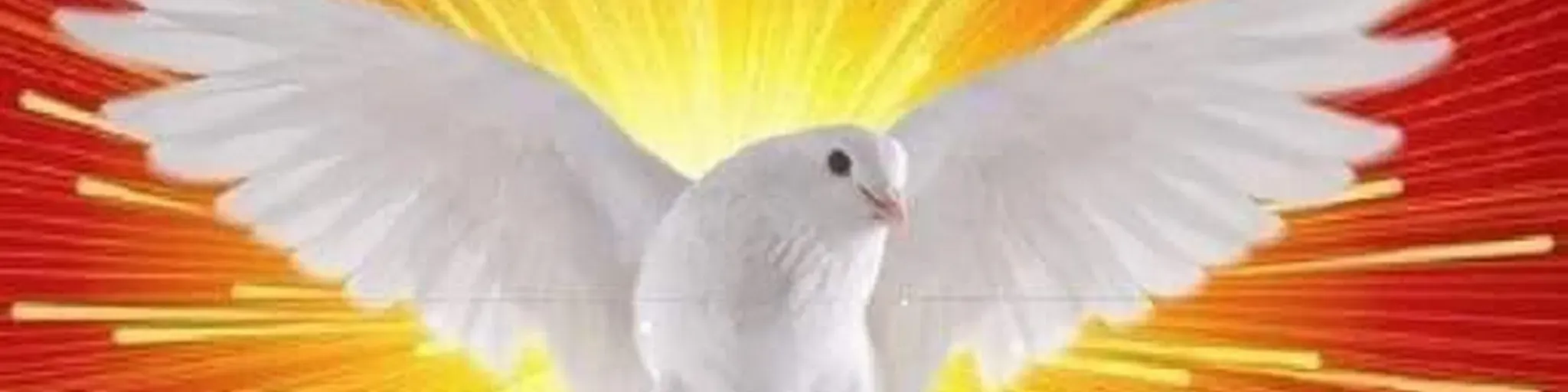 St. María del Discernimiento MR