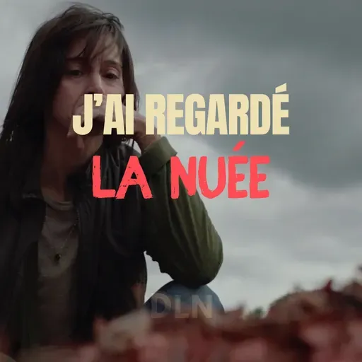 J'ai regardé La Nuée, Critique du film d'horreur