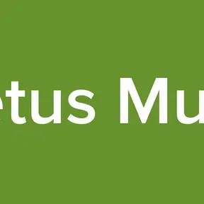 Metus Music
