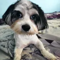 Mixul Vostru Preferat In Vara Anului 2019 ❌ Muzica August 2019 ❌ Muzica ❌ Party Mix 2019