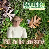 S2 Ep398: Better Lawns and Gardens - Hour 2 Fall Chores For The Landscape