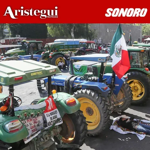 Senado confirma a Ernestina Godoy en la FGR, 'Fast-track' a ley de aguas, Trump podría dejar vencer el T-MEC - Resumen Diario