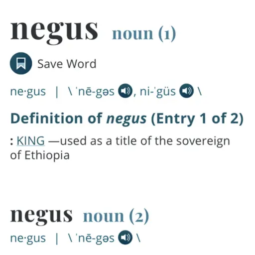 Should White people be able to say the N word ??