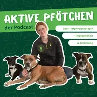 #61 Die Sinne des Hundes: ihre Bedeutung für Bewegung und Training
