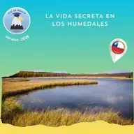 Ojo de Águila Cap 83- La vida secreta de los humedales