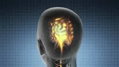 O efeito da Bíblia no Cérebro humano.