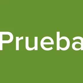 Prueba
