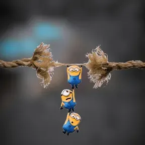 Carljhob