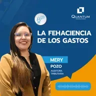 Episodio 90: La Fehaciencia de los Gastos
