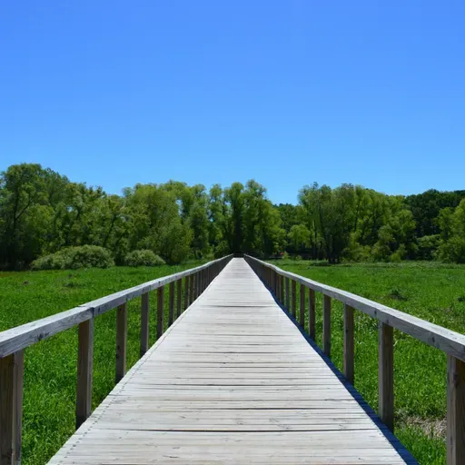 Olvida Tu Aflicción