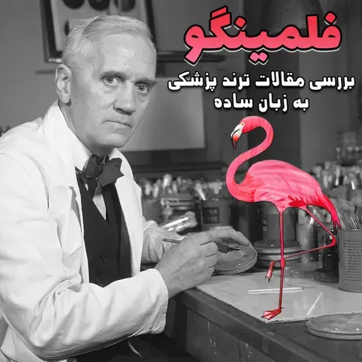 قسمت هشتاد و یکم - مقالات هفته دوم فروردین 1401