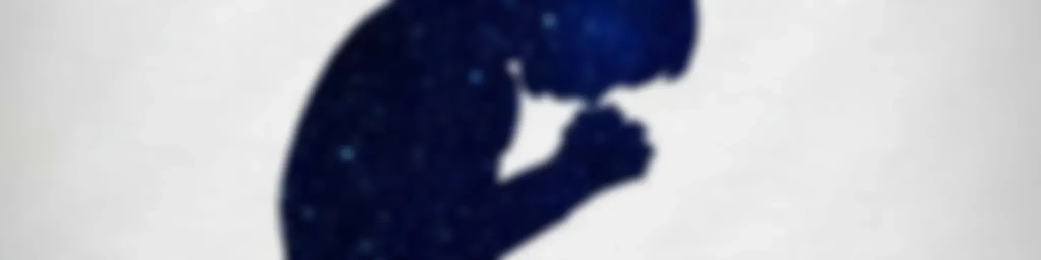 "Los Buscadores de Cristo"