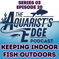 Keeping Indoor Fish Outdoors