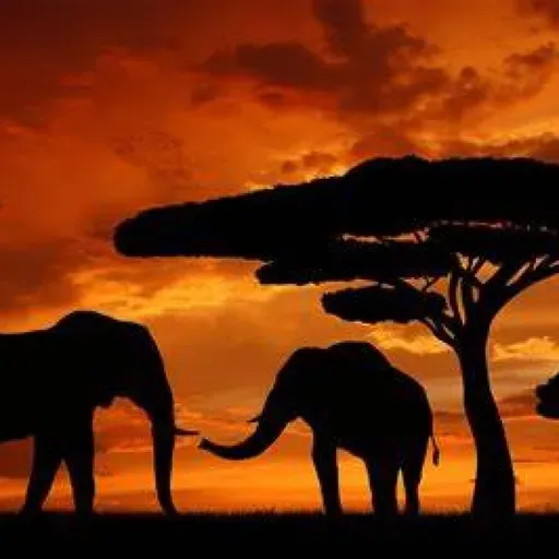 "Äfrica entre manos", según 1º ESO PVY