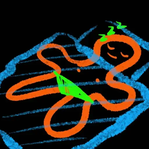 Vol.8 莱蒂菲：我的人设是快乐小猪