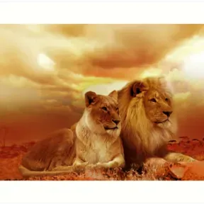 A la  Sombra del omnipotente