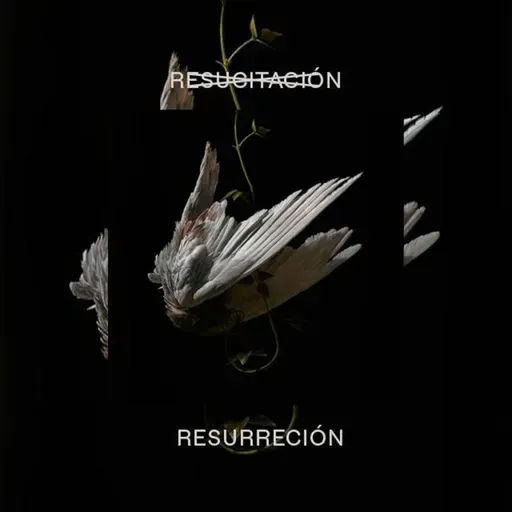 ¿Resucitación o Resurrección?