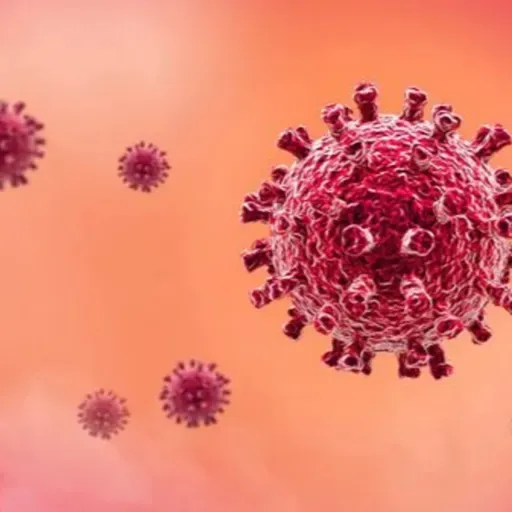 Covid: tire suas dúvidas sobre o aumento de testes positivos e a vacinação