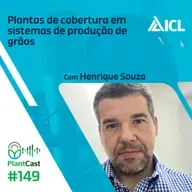 Plantcast #149 Plantas de cobertura em sistemas de produção de grãos