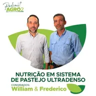 Sistema de pastejo ultradenso e como ele se diferencia dos convencionais #386