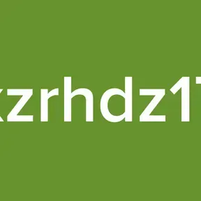 xzrhdz17