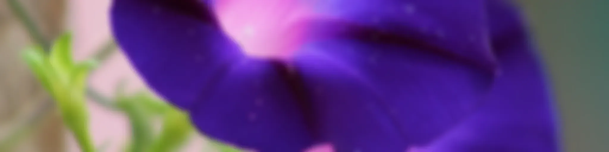 Meditações - Ellen G. White