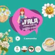 #6 Camomila