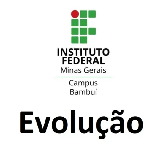 Primeiras instruções - Evolução