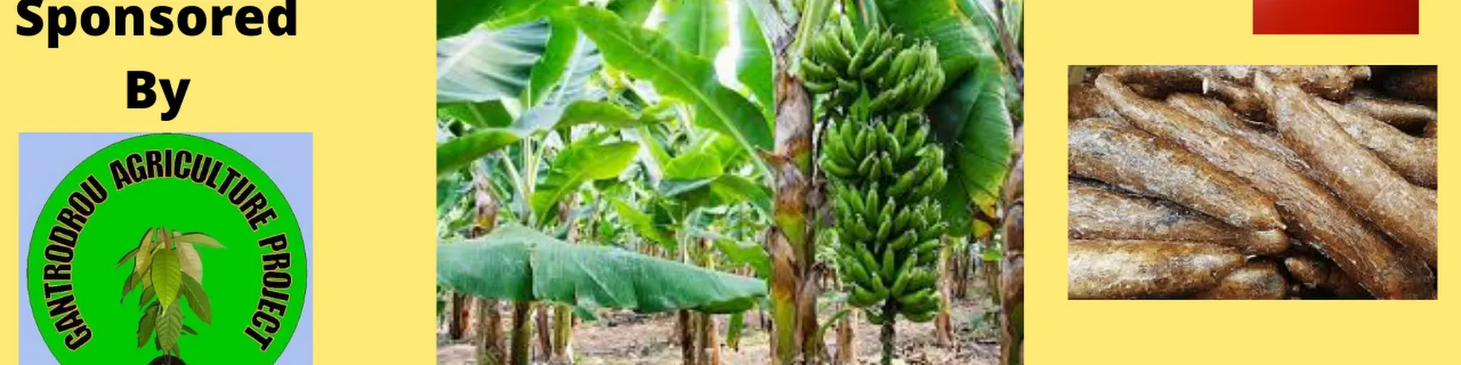 FARMERS RADIO  & TV  LIBERIA