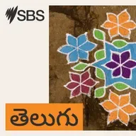 News update: భారతీయ వలసదారులపై వివాదాస్పద వ్యాఖ్యలు… క్షమాపణ నిరాకరించిన జసింతా ప్రైస్‌.. పదవి తొలగింపు..