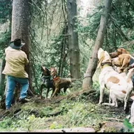 Plott & July Power: Mike Williams on Bears, Cats, and Big Hogs