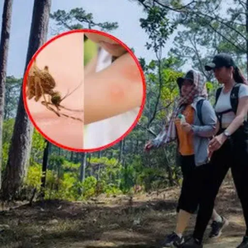 Du xuân đầu năm, túi tế cần mang theo gì?