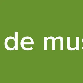 Bot de musica