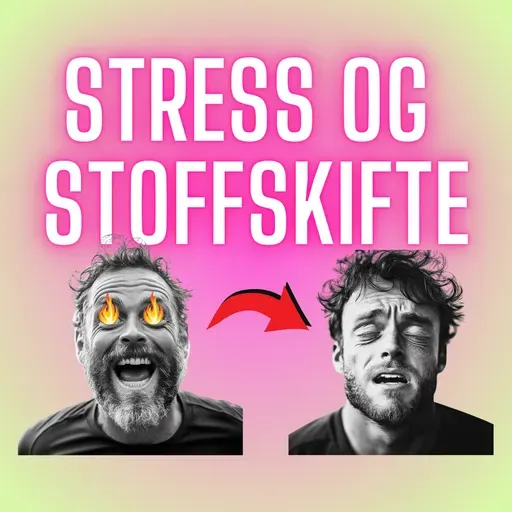 S2 Episode #7 – Hvorfor du IKKE vil være en Fettforbrenner (Del 1 – Stress, Stoffskifte og Blodsukker)