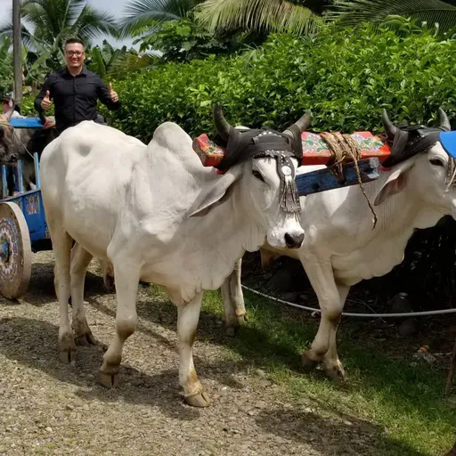 ¡Desarrolla unidad al estar junto a otros!