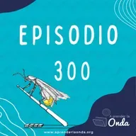 Episodio 300: El sistema crediticio: Un libro de historias parte 1
