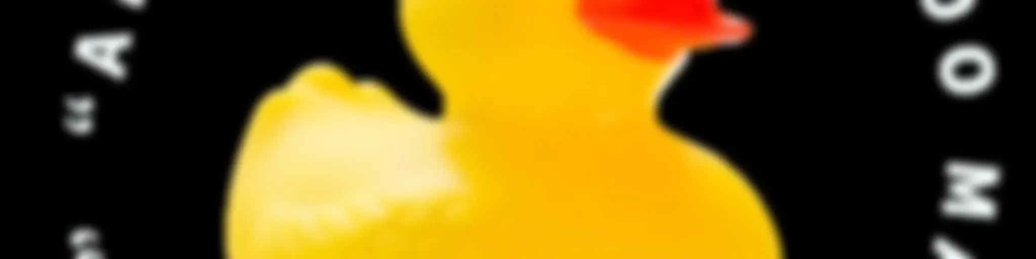 "Are there really too many ducks in Kent?"