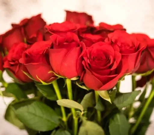 Caroline Ní Fhrighil, Bláthanna & Bronntannais Charoline.