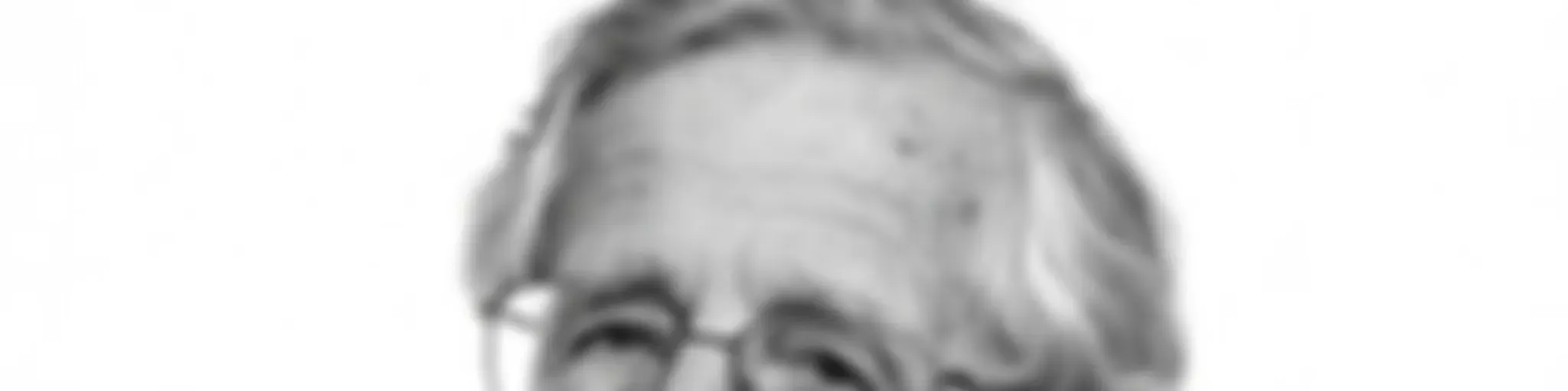 Noam Chomsky - Biography Flash